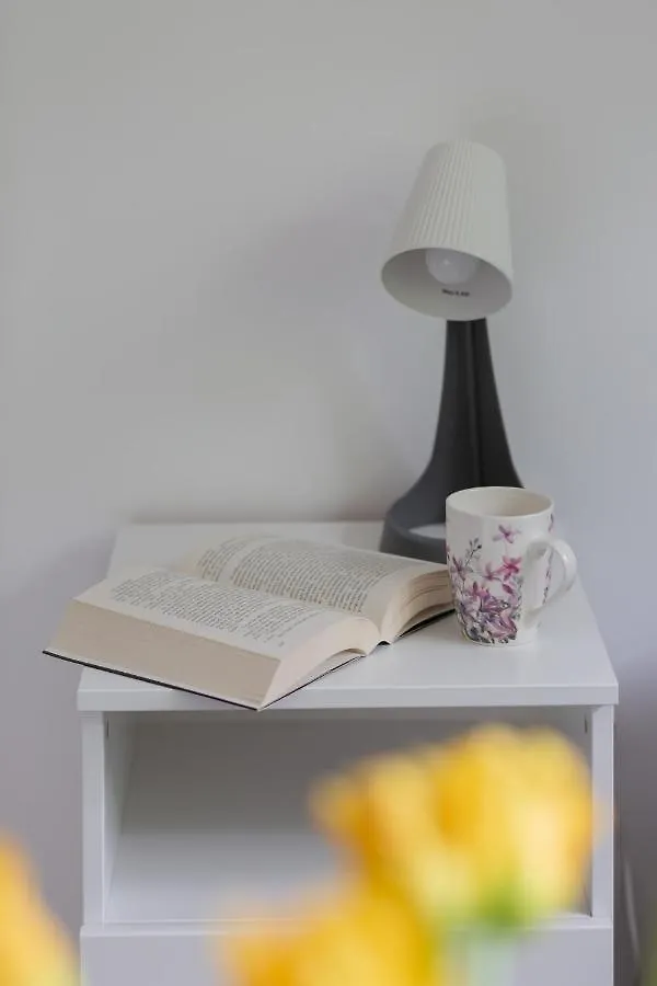 Pet-Friendly Studio Apartments Batorego Warsaw By Noclegi Renters