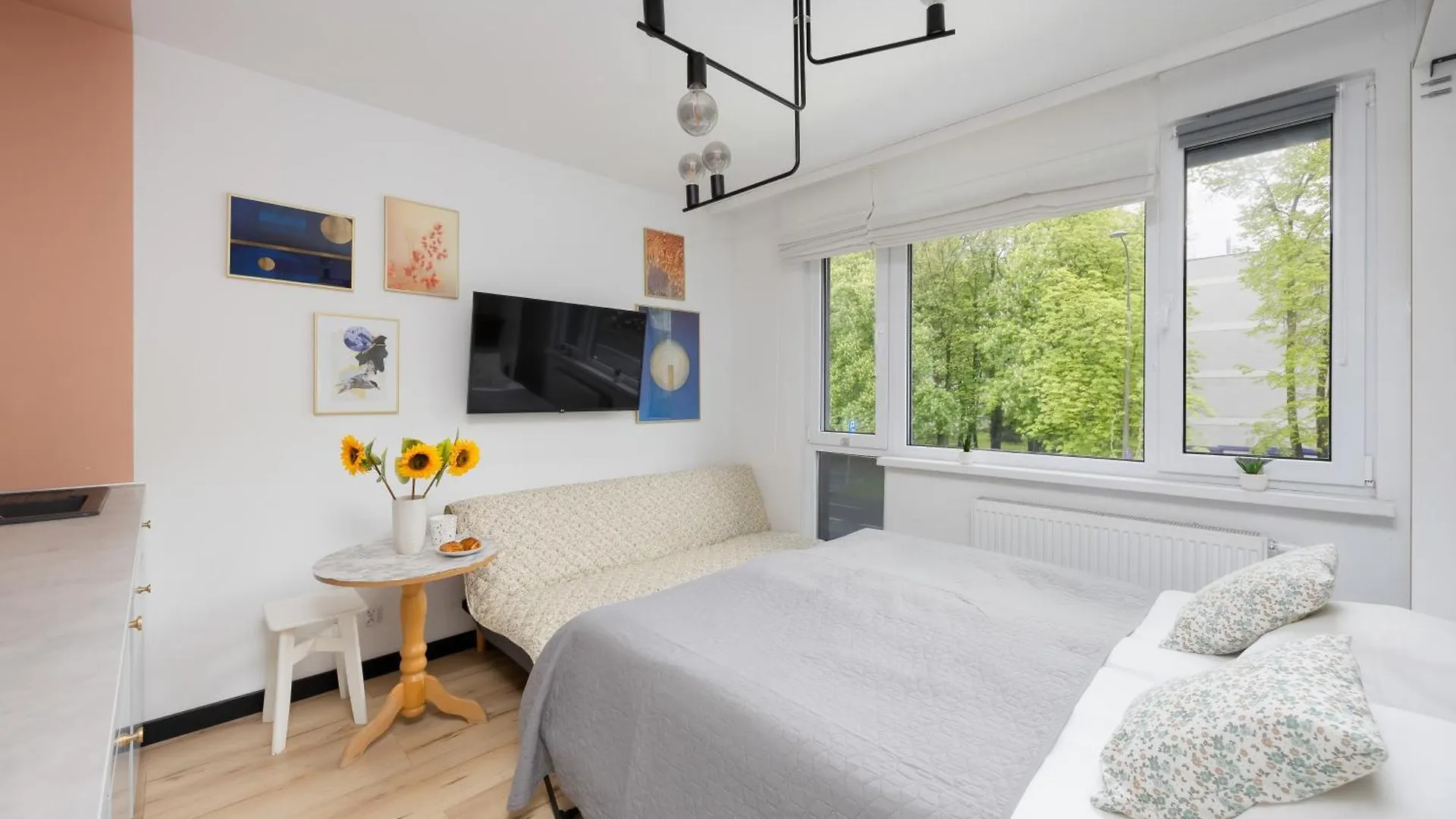 Pet-Friendly Studio Apartments Batorego Warsaw By Noclegi Renters